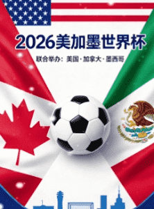 2026世界杯淘汰赛冠军赔率分析